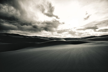 Dune Black and White