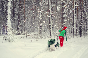 эльфы в снежном лесу  на новый год и рождество © irinashamanaeva