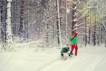 эльфы в снежном лесу  на новый год и рождество © irinashamanaeva