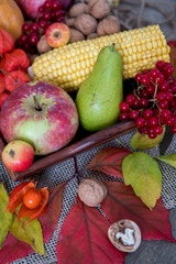 Autumn vegetables, berries and fruits. Seasonal autumn food - pumpkins, corn, apples, pear, viburnum, physalis