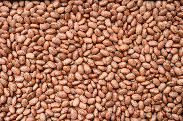 Pinto bean for background 
