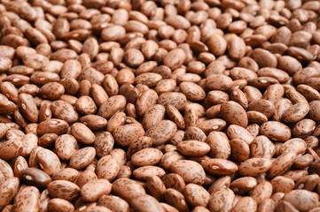 Pinto bean for background 