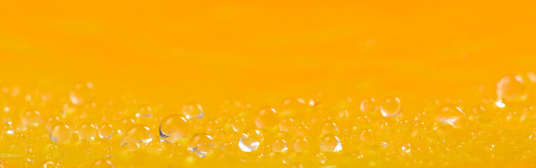 Water drops on bright orange texture background