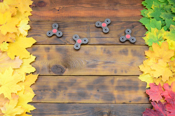 Several spinners among the many yellowing fallen autumn leaves on the background surface of natural...