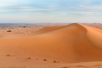 Fototapeta na wymiar Erg Chebbi Sand dunes near Merzouga in the morning, Morocco