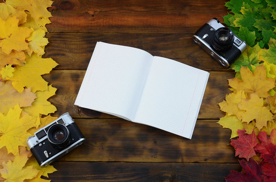 An open notebook and two old cameras among a set of yellowing fallen autumn leaves on a background surface of natural wooden boards of dark brown color