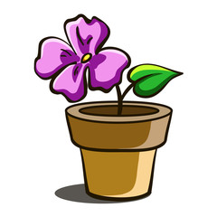 PurpleFlower