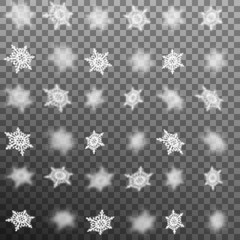 Set of blur snowflakes isolated. EPS 10 vector
