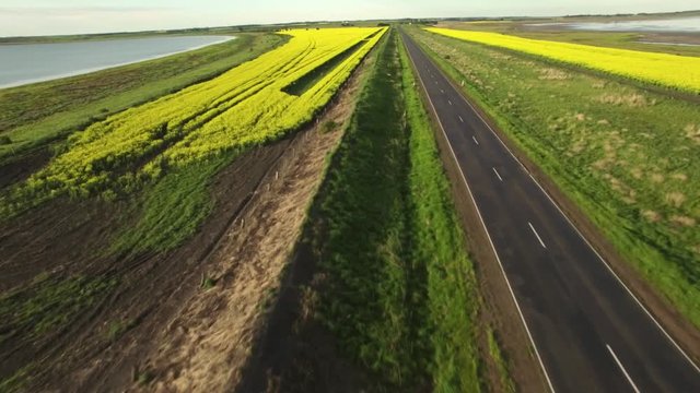 Fast forward flight over rural road and yellow canola field slowly rising high up revealiing the horizon