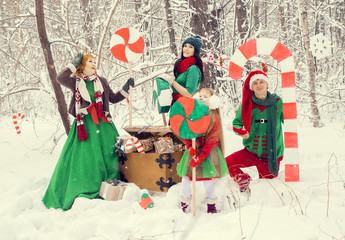  эльфы семьей в новогоднем снежной лесу © irinashamanaeva