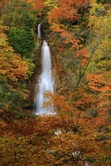 紅葉の七滝