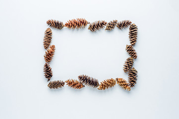Fir cones on a white background. Christmas frame