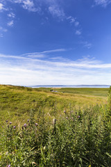 Fototapeta na wymiar Portrait view of fields and blue summer sky in Linicro on the Isle of Skye in Scotland.
