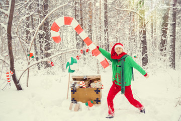  эльфы семьей в новогоднем снежной лесу © irinashamanaeva