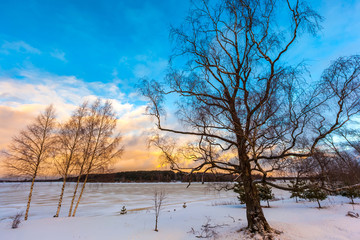 Fototapeta na wymiar A branchy tree on the coast of Volga river at sunset. Winter in Russia.