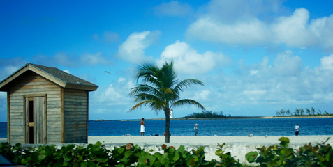 people at the beach with a hut and palm trees and an island in the distance