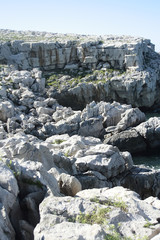 photographs of cantabria and Asturias showing their animal landscapes and architecture