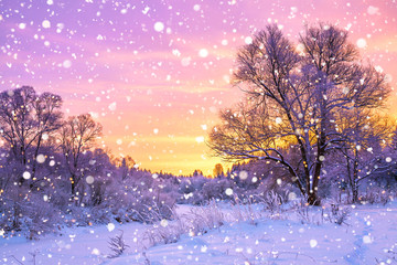 winter landscape with forest, trees and sunrise
