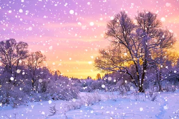 Papier Peint photo autocollant Hiver paysage d& 39 hiver avec forêt, arbres et lever de soleil