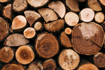 wood background