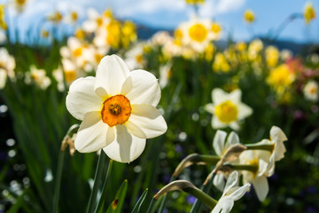 Visit to Admont Abbey  in Styria