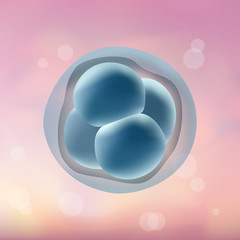 In vitro fertilization IVF. Embrio development. 4-stage cell. Illustration for web or typography magazine, brochure, flyer, poster. Blurred pink background