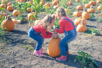 Two little girls carrying pumpkin at field patch
