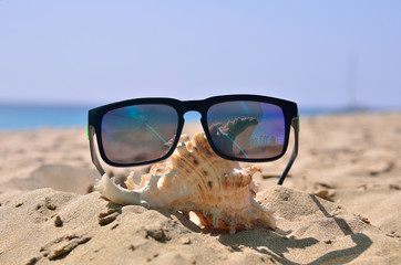 Fototapeta na wymiar shell and sunglasses on the sand