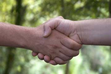 Handshake on the view background