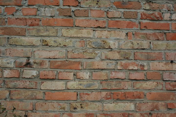 Naklejka premium wall a brick
