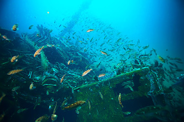 shipwreck, diving on a sunken ship, underwater landscape
