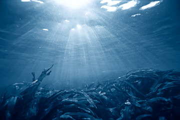sea water texture, underwater background