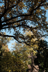 berlin dorotheenstädtischer friedhof herbst