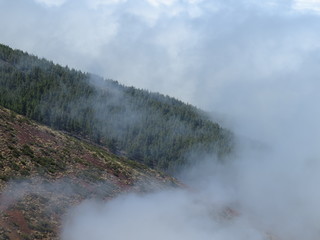 In the clouds of the island of Tenerife! Canary Islands. (The Vast Russia! Sergey, Bryansk.)
