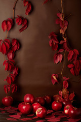 Autumn monochrome still-life in red and burgundy shades.