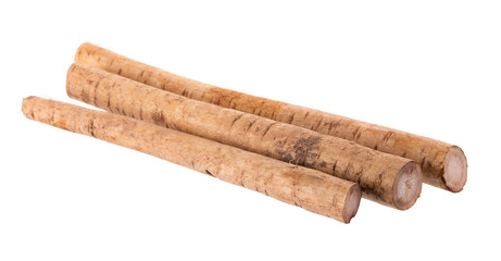 Fresh Burdock roots isolated on white background