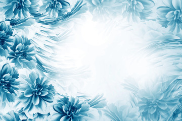 Floral turquoise-white beautiful background. Composition of flowers turquoise-white dahlias. Postcard for the holiday. Nature. Nature.