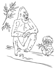 gorilla family on tree