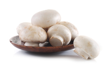 champignon isolated on white background