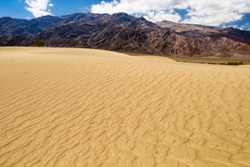 Sand Dunes