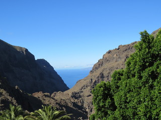 Naklejka premium Walking on the island of Tenerife. Canary Islands. (The Vast Russia! Sergey, Bryansk.)