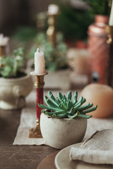 Rustic wooden table serving with succulents in concrete pot, candles, sackcloth napkin for dinner.
