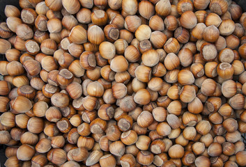 Hazelnut. A lot of nuts background. Nuts in boxes. Ripe brown nuts.