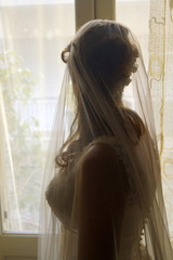 Sposa di spalle con il velo