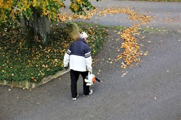 An Image of a leaf blower and vacuums