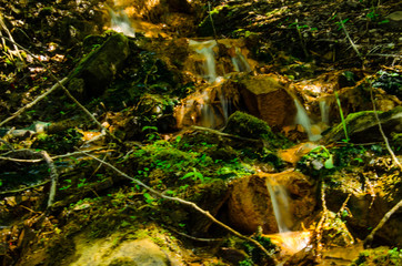 Beautiful waterfall in a forest