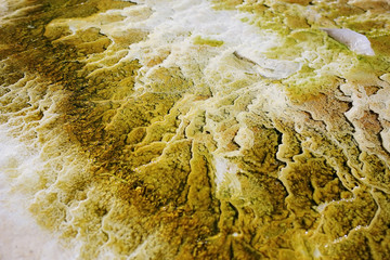 hot thermal springs steam pairs