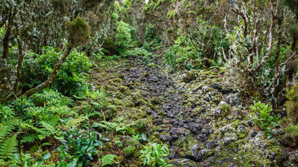 Volcanic trac