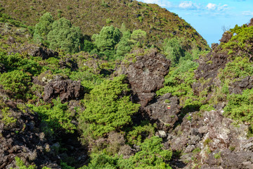 Track across volcanic rocks zone with signs