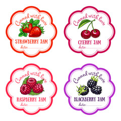 Labels with hand drawn fruits and berries set of vector. Strawberry, cherry, blackberry, raspberry.